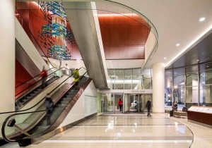 The second floor lobby offers clear wayfinding through the “public path,” an initiative to assure a fluid, pleasant experience throughout public areas.