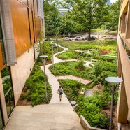 Curbed Washington DC Features UDC Student Center